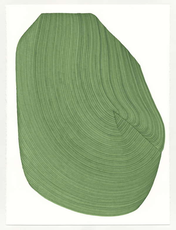 Lines 243 by Dana Piazza