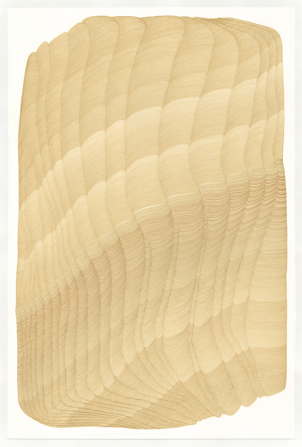 Lines 250 by Dana Piazza