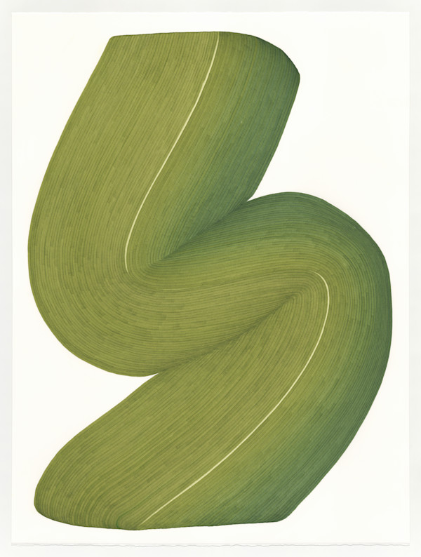 Lines 252 by Dana Piazza