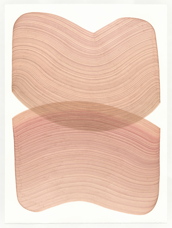 Lines 276 by Dana Piazza
