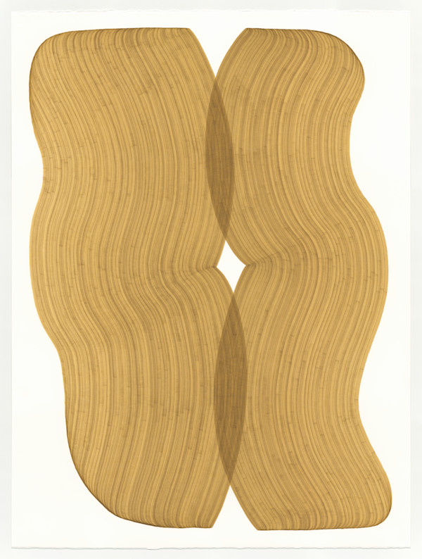 Lines 312 by Dana Piazza