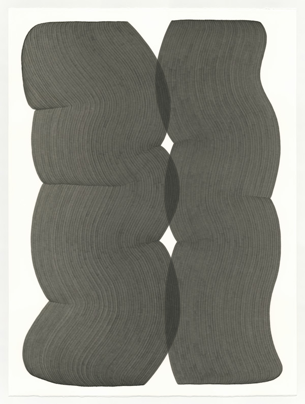 Lines 313 by Dana Piazza