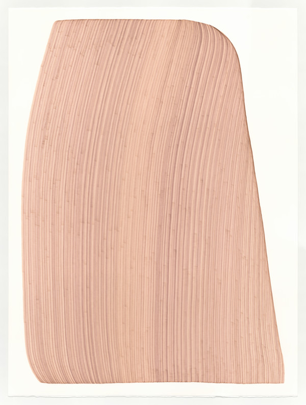 Lines 314 by Dana Piazza