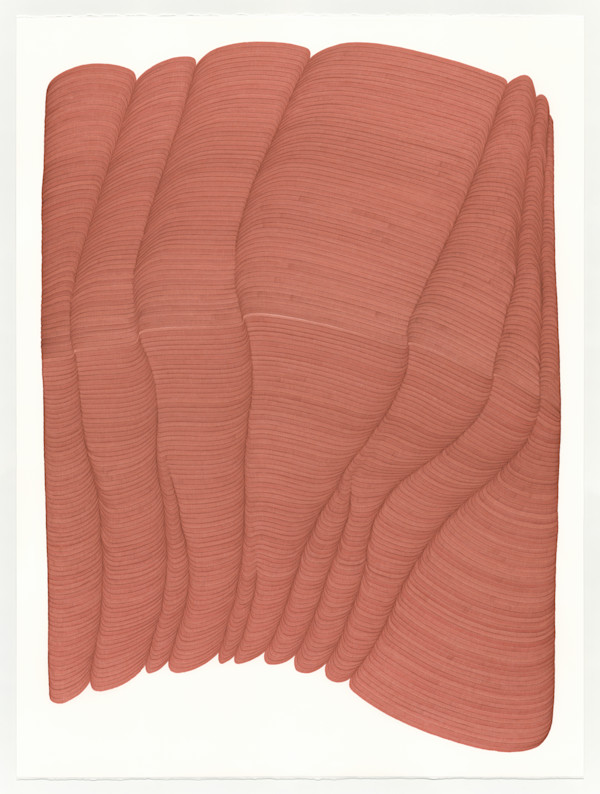 Lines 315 by Dana Piazza