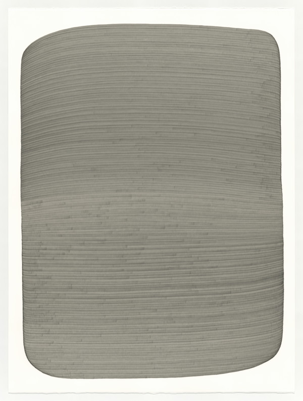 Lines 316 by Dana Piazza