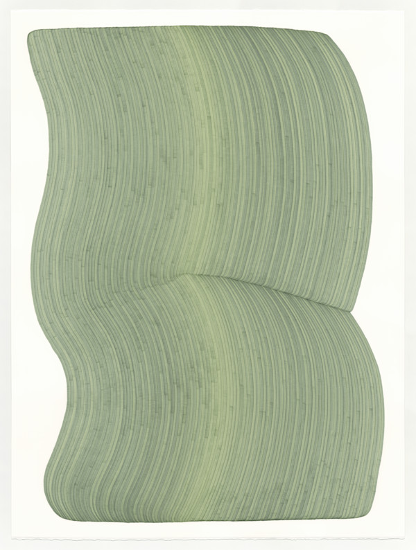 Lines 317 by Dana Piazza