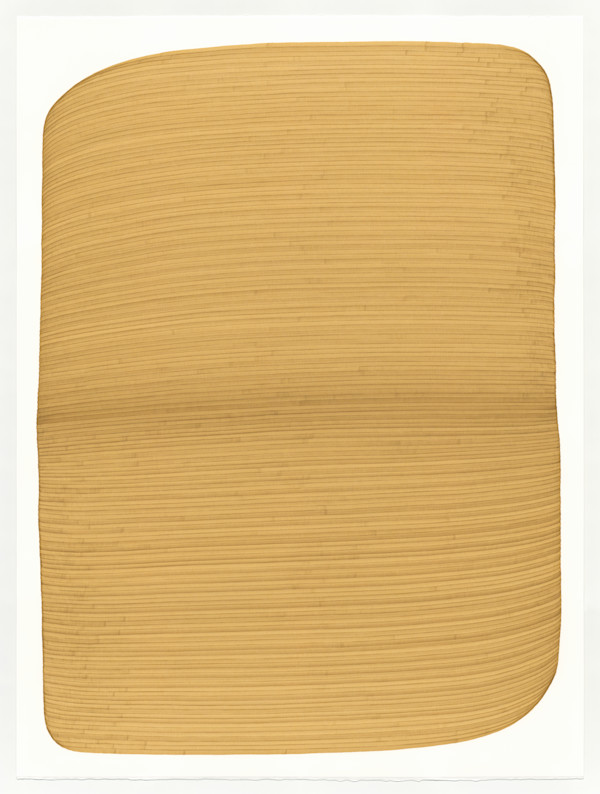 Lines 318 by Dana Piazza