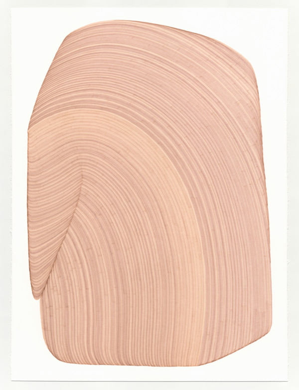 Lines 323 by Dana Piazza