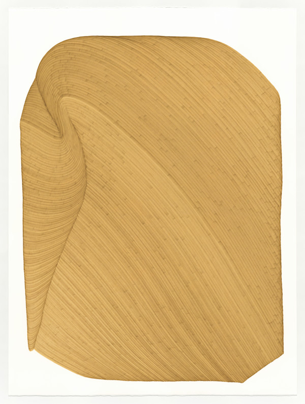 Lines 325 by Dana Piazza