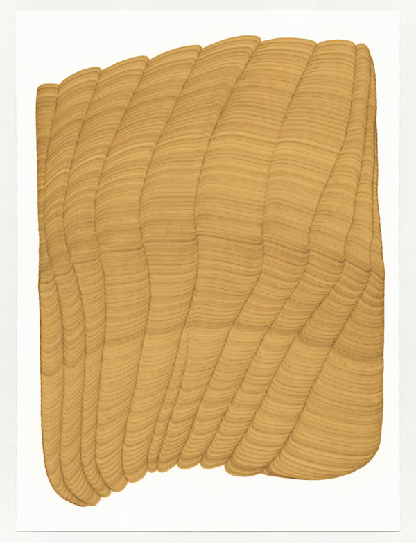 Lines 329 by Dana Piazza