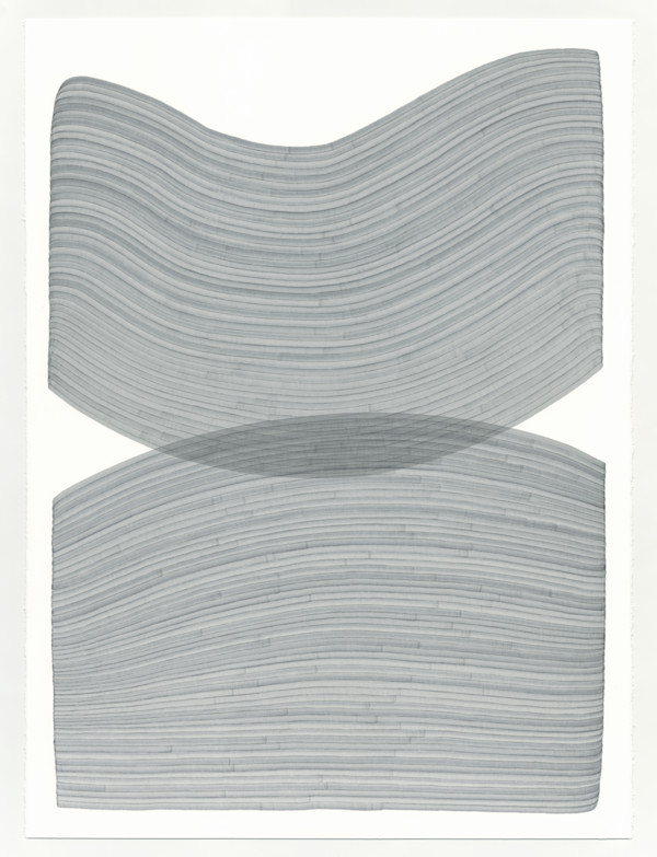 Lines 335 by Dana Piazza