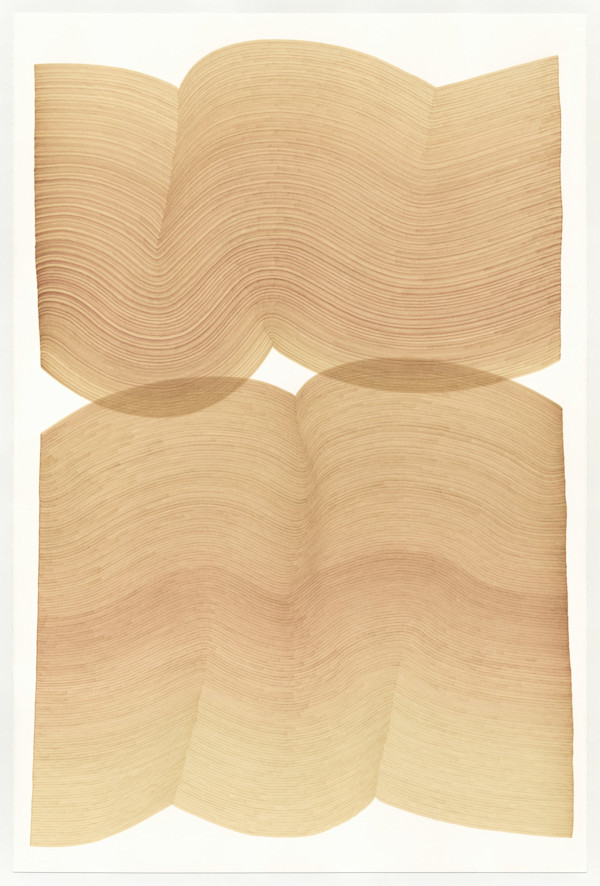 Lines 336 by Dana Piazza, Image 1.