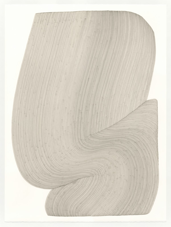 Lines 337 by Dana Piazza, Image 2.