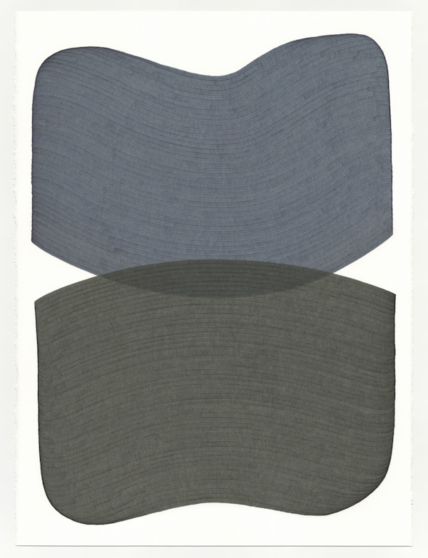 Lines 338 by Dana Piazza, Image 1.