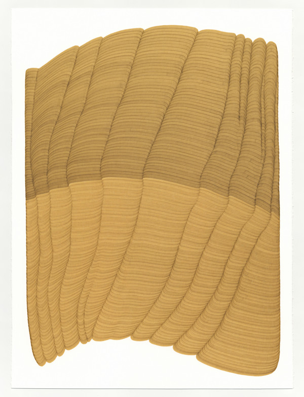 Lines 343 by Dana Piazza, Image 2.