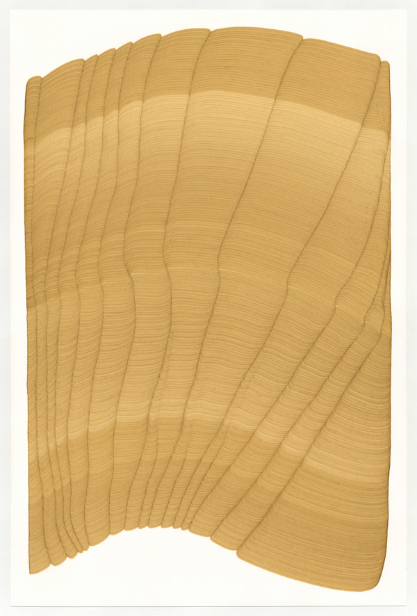 Lines 345 by Dana Piazza, Image 1.