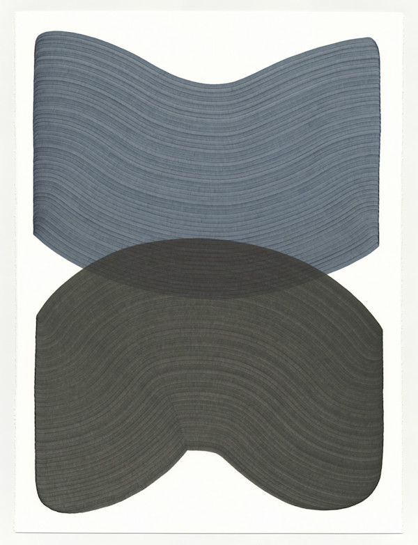 Lines 351 by Dana Piazza, Image 1.