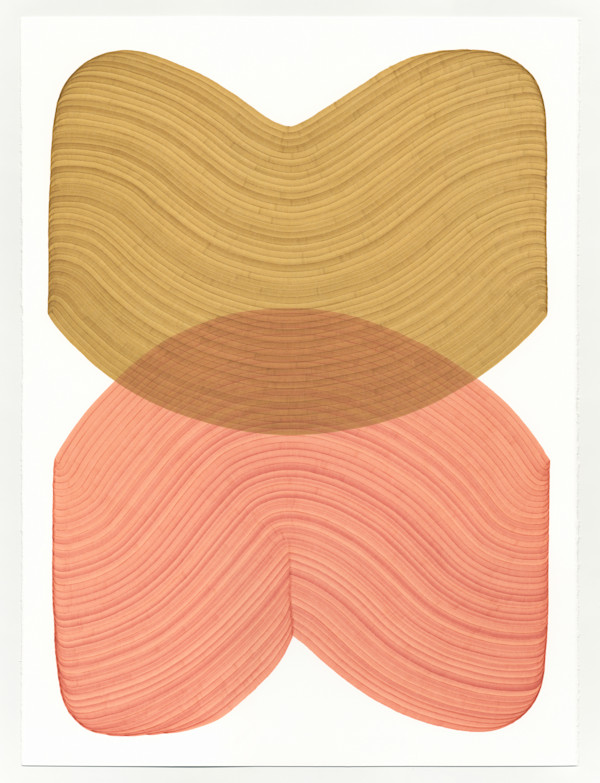 Lines 352 by Dana Piazza, Image 1.