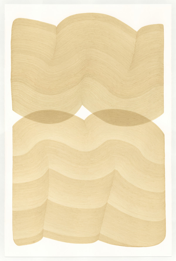 Lines 355 by Dana Piazza, Image 1.