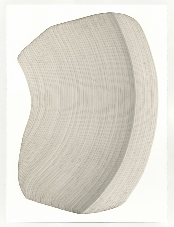 Lines 356 by Dana Piazza, Image 1.