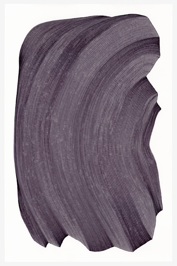 Lines 43 by Dana Piazza