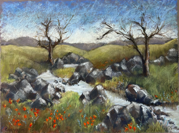 Iron Canyon by Caryn Stromberg
