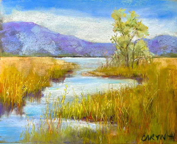 Marshscape by Caryn Stromberg