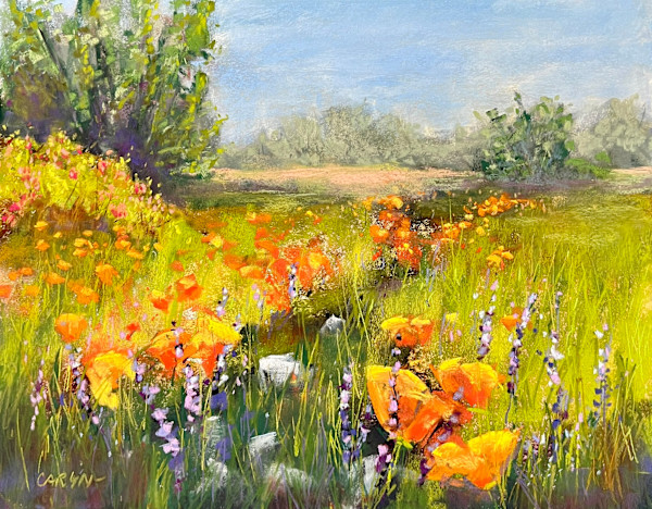 Papaver by Caryn Stromberg