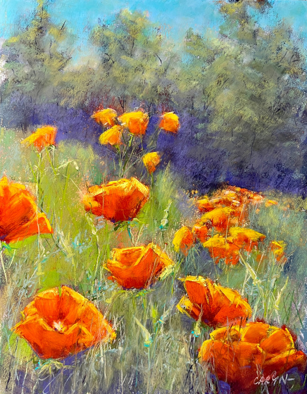 Poppies by Caryn Stromberg