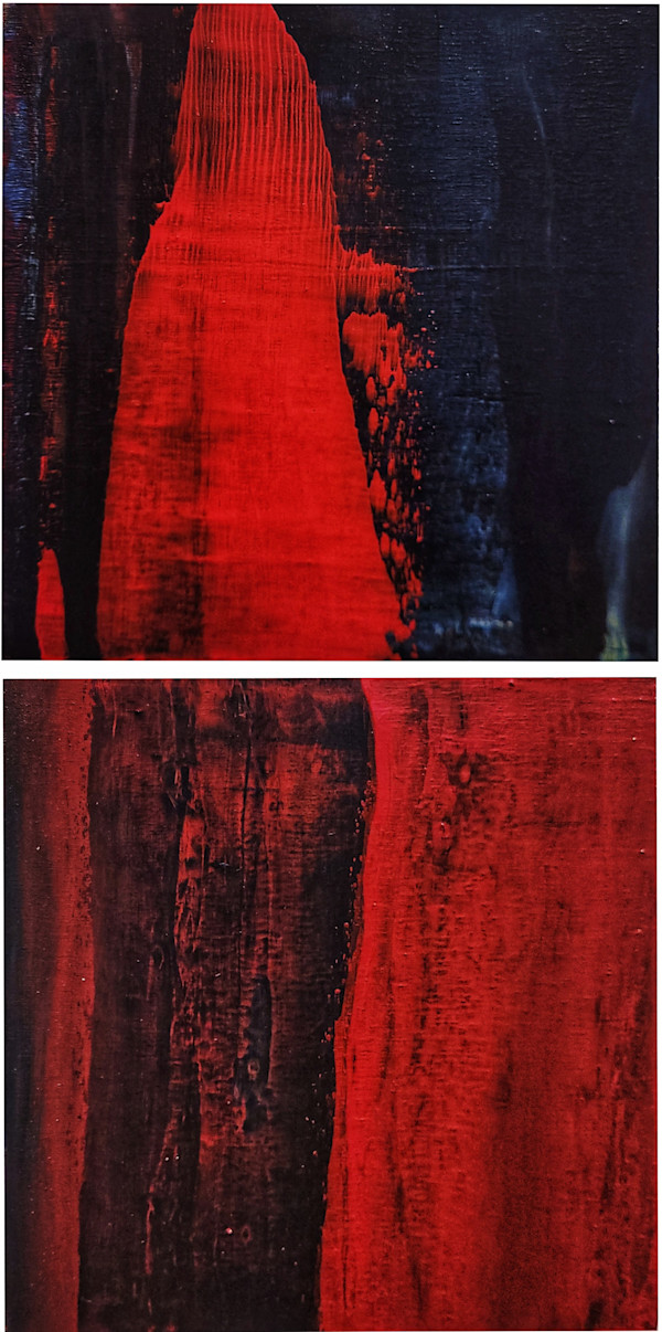 Here and Not Here by Eliaichi Kimaro