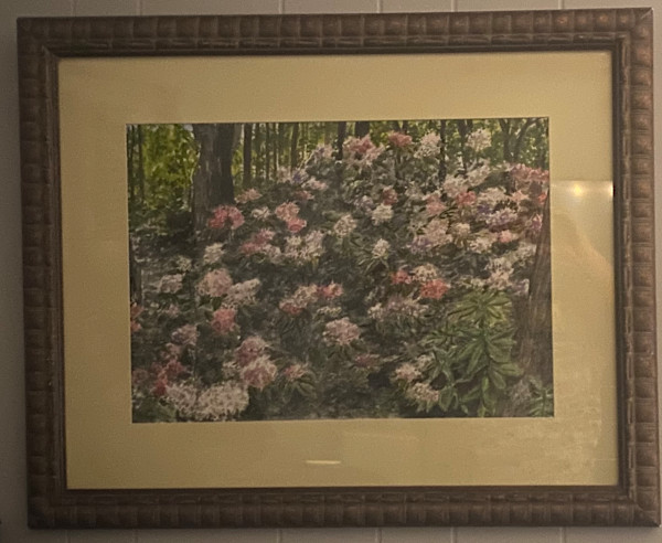 RHODODENDRONS AT GIBBS GARDENS by Doug Gazlay