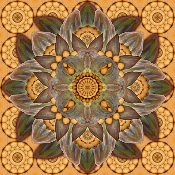 Asparagus And Garbanzo