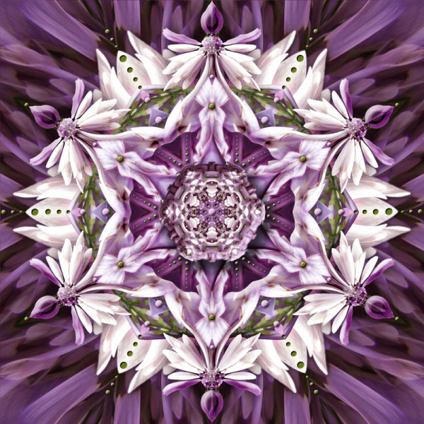 Lilacs In Gloom by Karen Hochman Brown