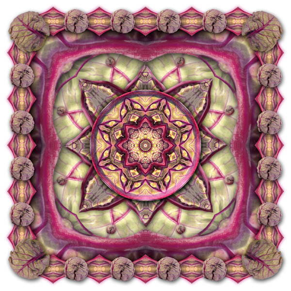 Purple Brussels Sprout