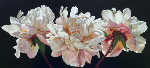 Floral Illumination by Anne-Marie Zanetti