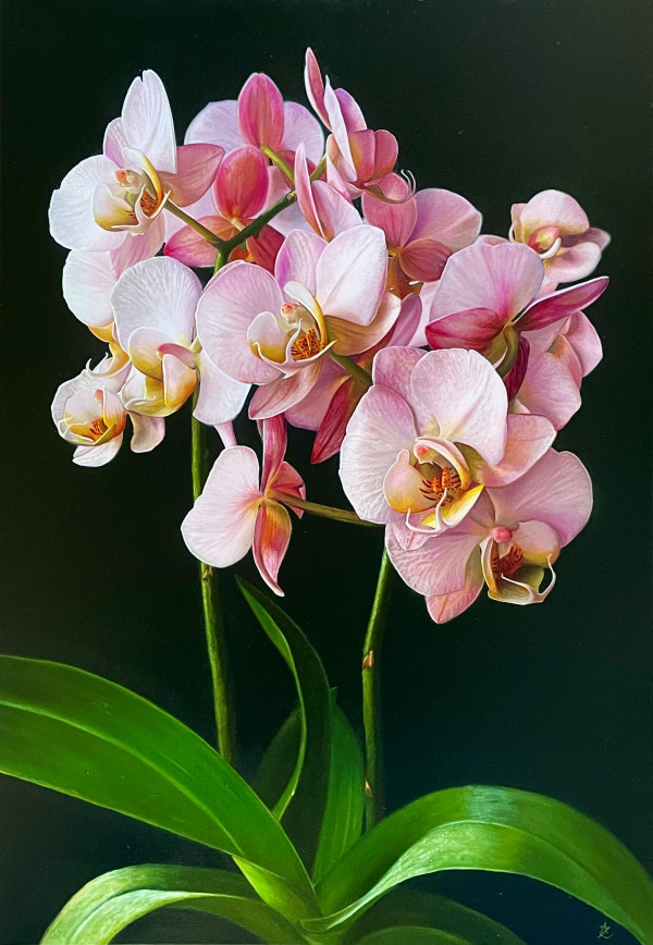 Orchid Blush by Anne-Marie Zanetti