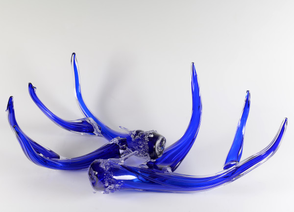 Antler Set-Cobalt by North Rim Glass Jared & Nicole Davis