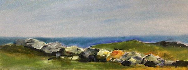Pastures by Marston Clough