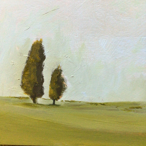 Cedars by Marston Clough, Image 1.