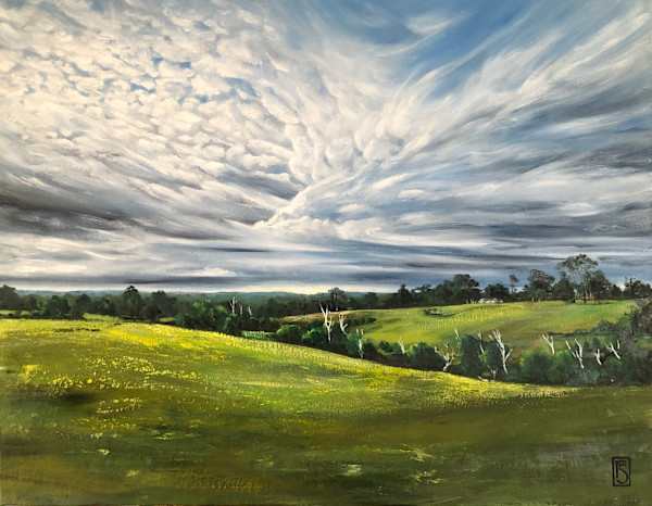 Briars Sky Dance by Rosalie Street