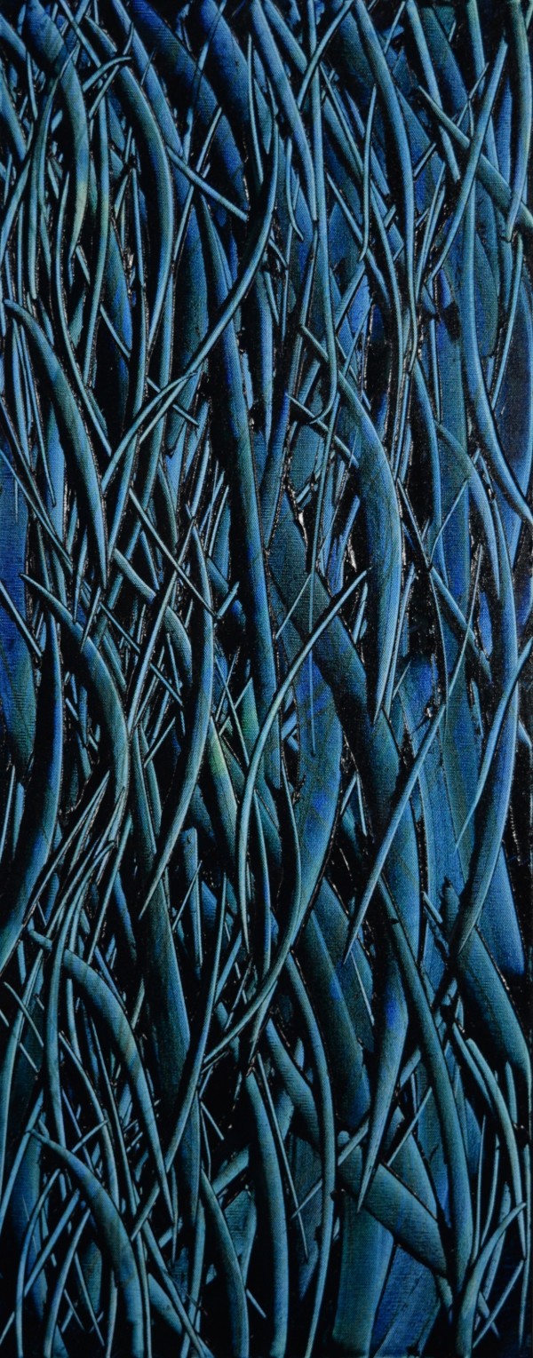 Blue Velvet by Curtis Frederick