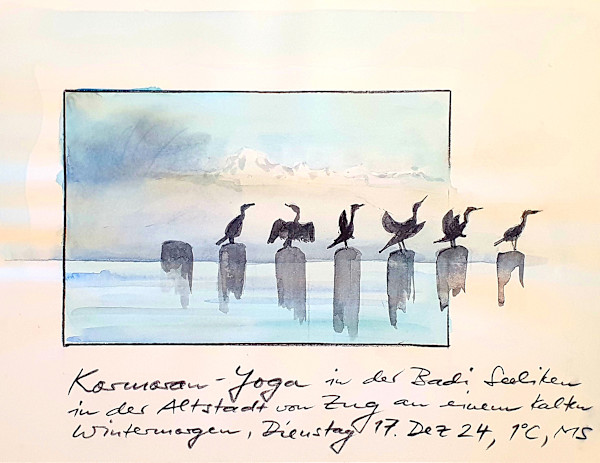Kormoran by Martin Spillmann