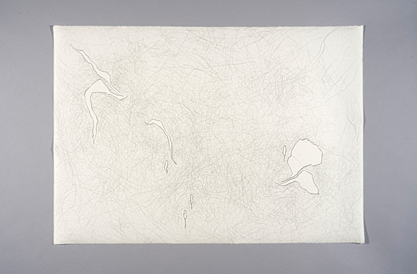 Tulpen by Myrtha Steiner