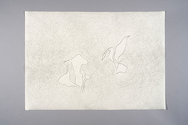 Tulpen by Myrtha Steiner