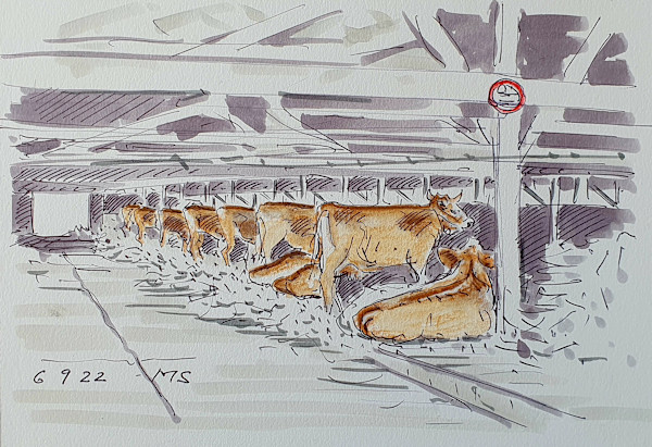 Stierenmarkt Stall by Martin Spillmann