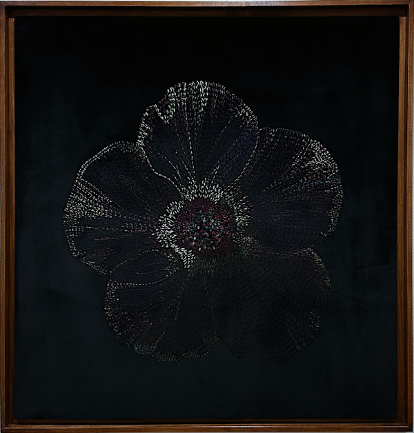 Velvet Tulipa II by Ursula Waldburger