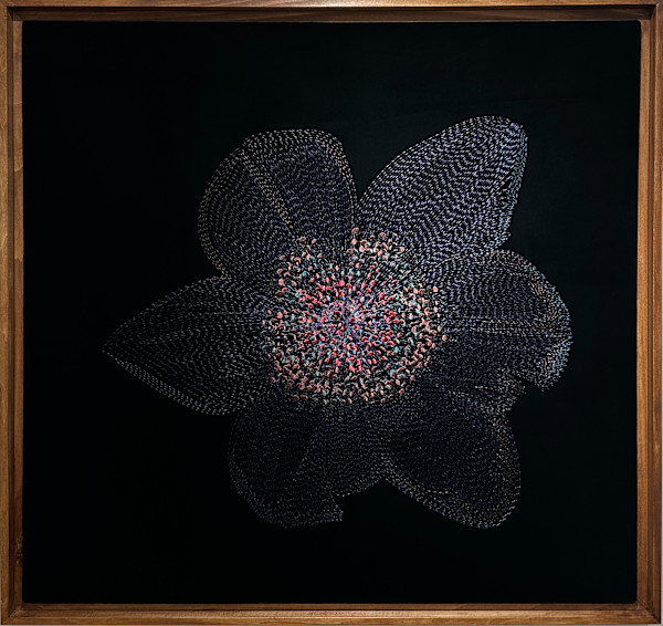 Velvet Tulipa I by Ursula Waldburger