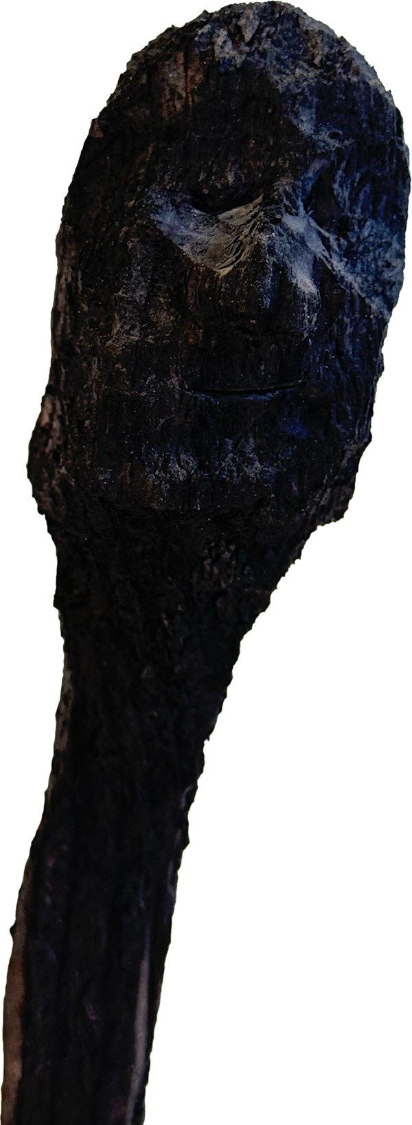 Züsli Nr. 64 by Daniel Züsli
