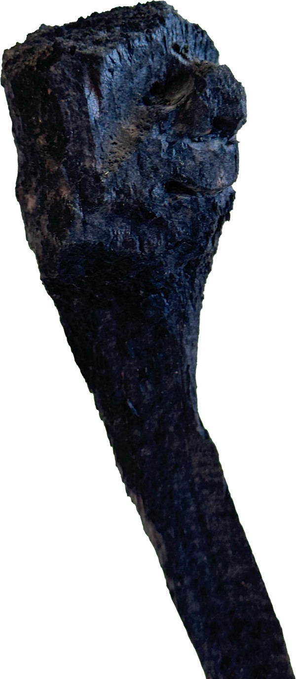 Züsli Nr. 72 by Daniel Züsli