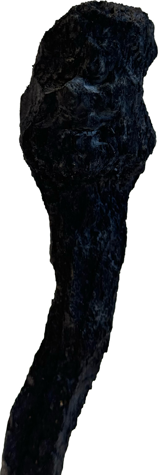 Züsli Nr. 75 by Daniel Züsli